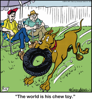 marmaduke